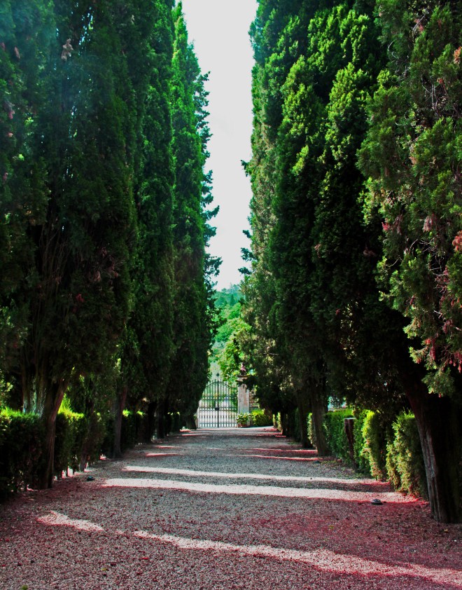 Driveway to Castello di Verrazzano.